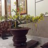 thienthi_bt