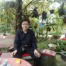 Chim xanh