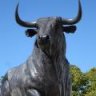 wildbull
