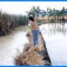 broker_anhphan