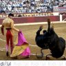 Hayan