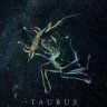 thetaurus