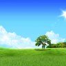 Bright Tomorrow