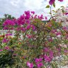 duytrinh85