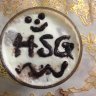 HSG
