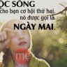 Phuongchp