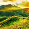 trinhdinhdong
