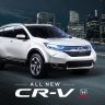 CRV37