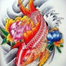 Cyprinus_carpio