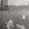 LQT23