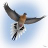 PASSENGER_PIGEON