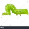 Caterpillar