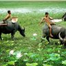 nguyenductri20