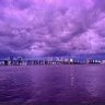 MrHoang319