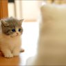 Giang_TT