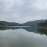 MrJinCheng