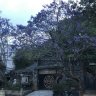 Binhkobiet