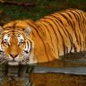 ChienBinh74