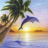 DolphinCap
