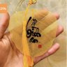 Thanhpham061981