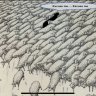 hell0123