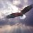 jetdolee44