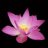 nguyend_uyanh