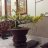 thienthi_bt