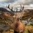 Phuclocthotoan
