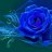 bluehouse