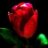 Do_Thieu_gia