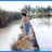 broker_anhphan