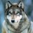 Hanh_Wolf
