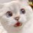 namho995