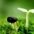Binh_Thien