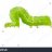 Caterpillar