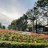 annhien2501