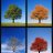 FourSeasons